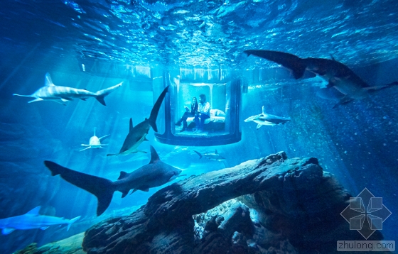 360度全透明水下居所与鲨鱼同居是怎样一种体验？