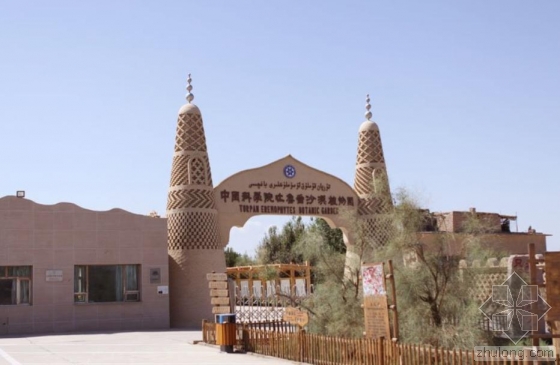 世界海拔最低植物园内植物“秀”荒漠生态景观