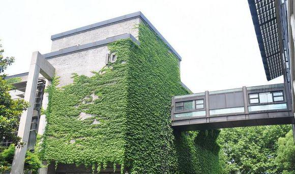 绿色建筑不能止于设计