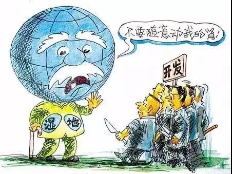 “第五立面”建筑屋顶绿化已刻不容缓 