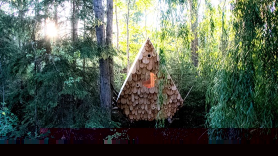 北方工作室设计鸟人共享树屋   